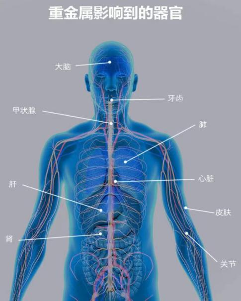 铂莱国际(柬埔寨)官方网站